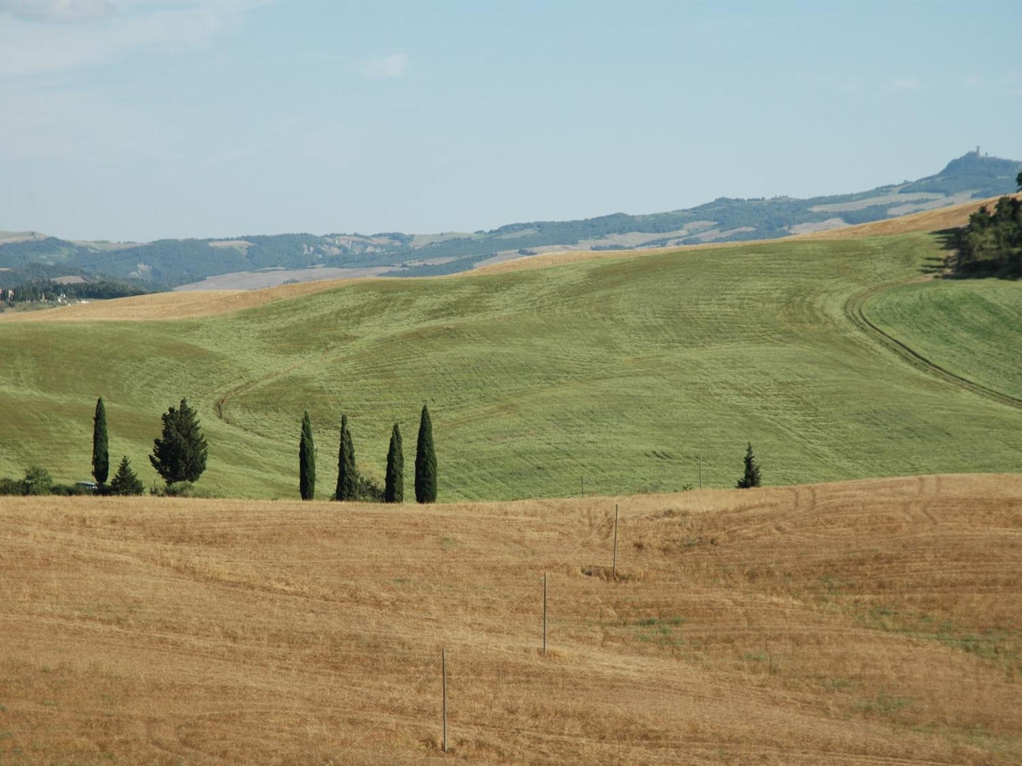 Modern In With Pool * Pienza